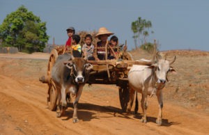 birmania bambini